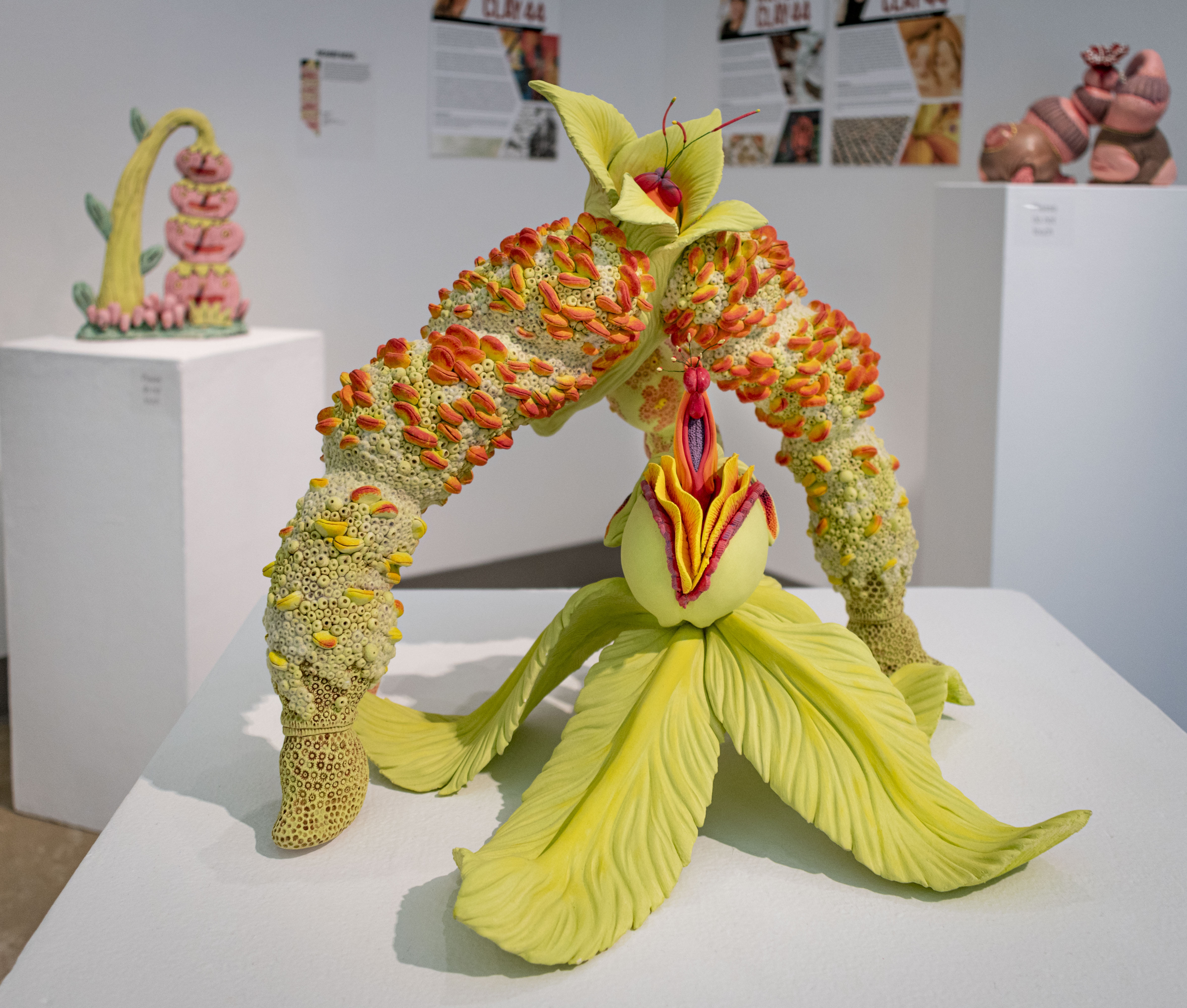 This is a demo image