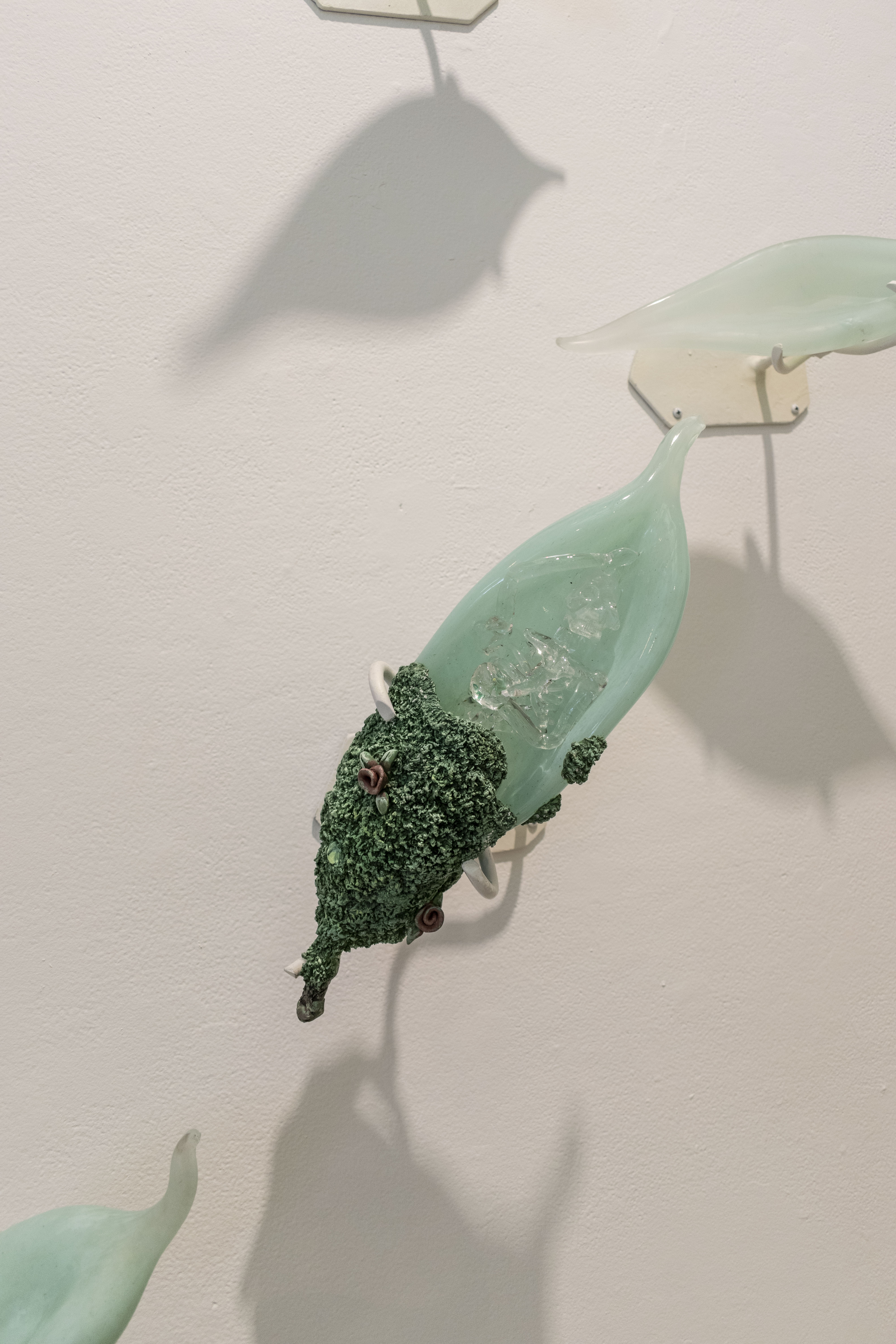 This is a demo image